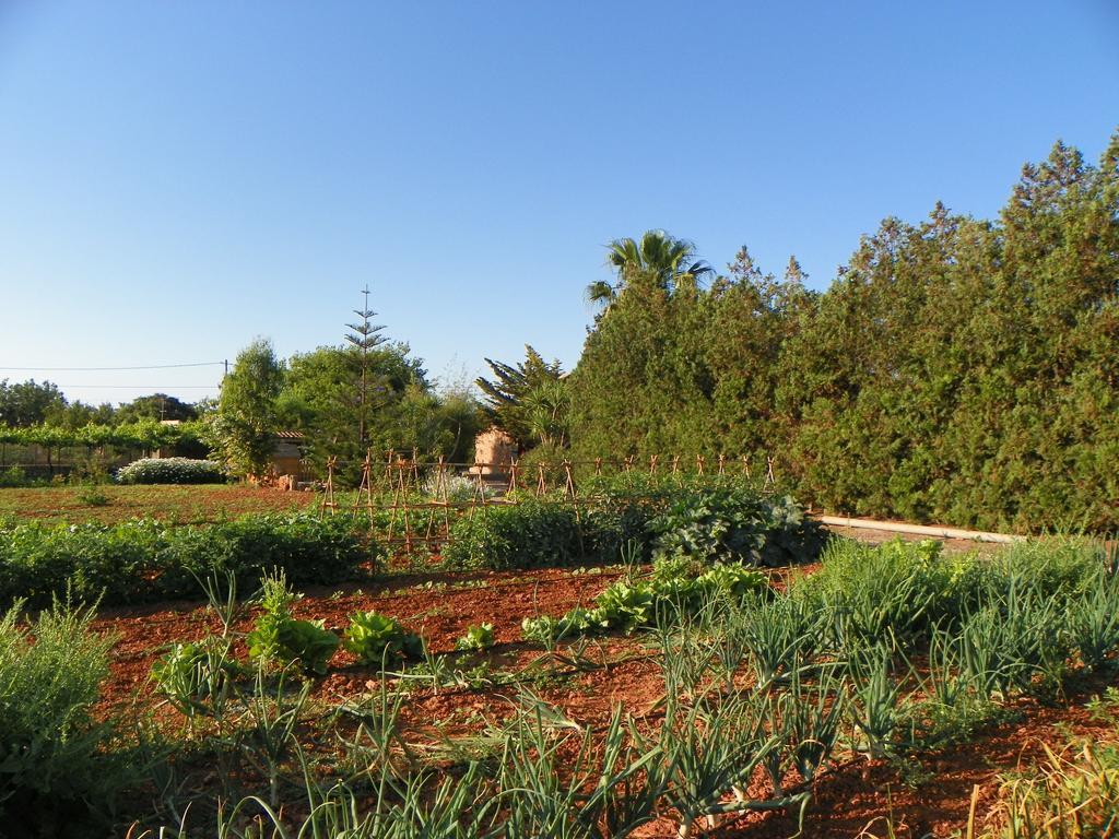Agroturisme Can Bessol S'Horta ภายนอก รูปภาพ
