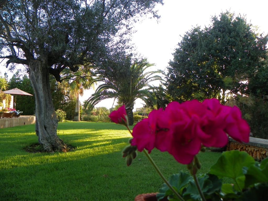 Agroturisme Can Bessol S'Horta ภายนอก รูปภาพ